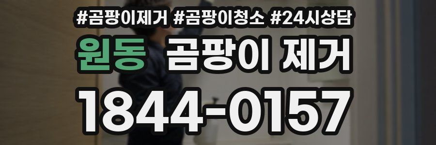 원동 곰팡이 제거
