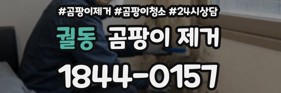 궐동 곰팡이 제거