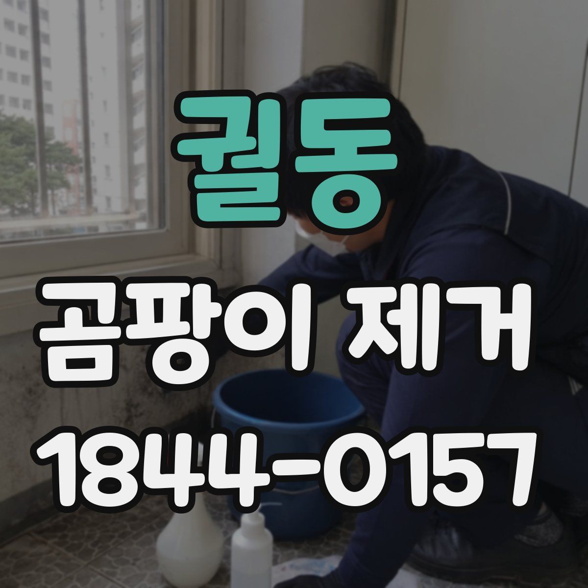 궐동 곰팡이 제거