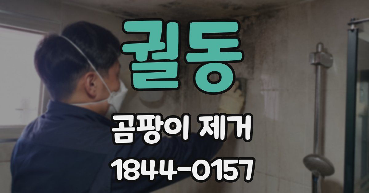 궐동 곰팡이 제거