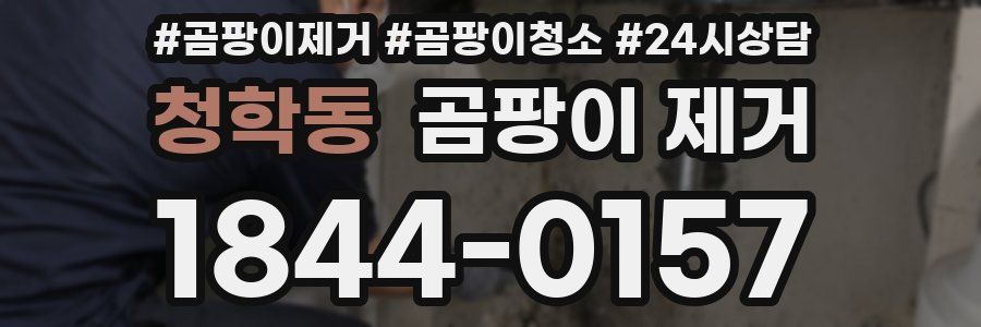 청학동 곰팡이 제거