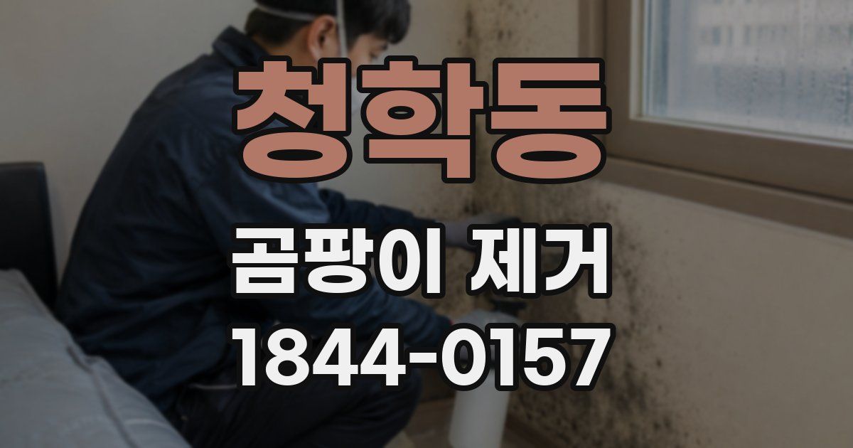 청학동 곰팡이 제거