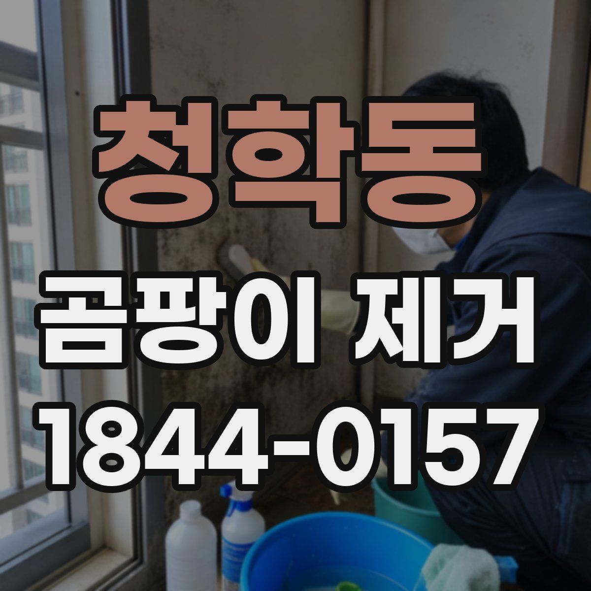 청학동 곰팡이 제거
