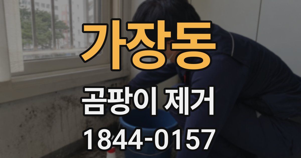 가장동 곰팡이 제거