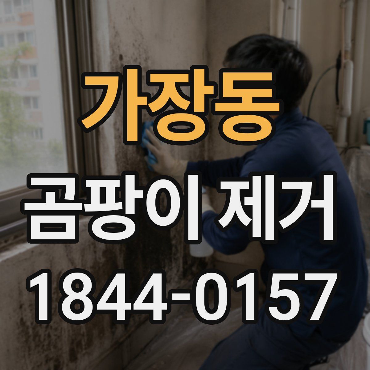 가장동 곰팡이 제거