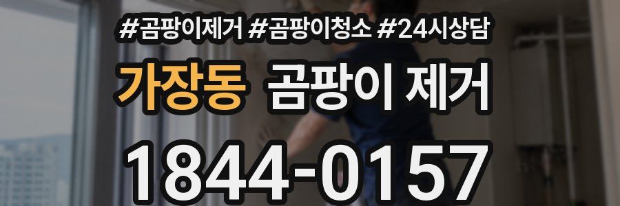 가장동 곰팡이 제거
