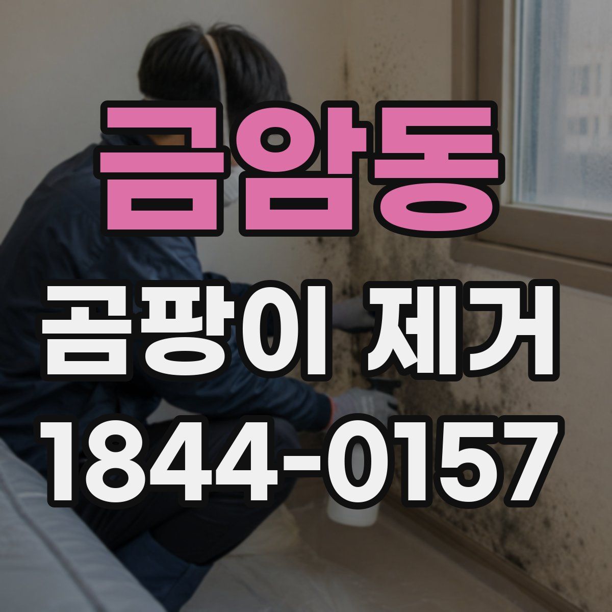 금암동 곰팡이 제거
