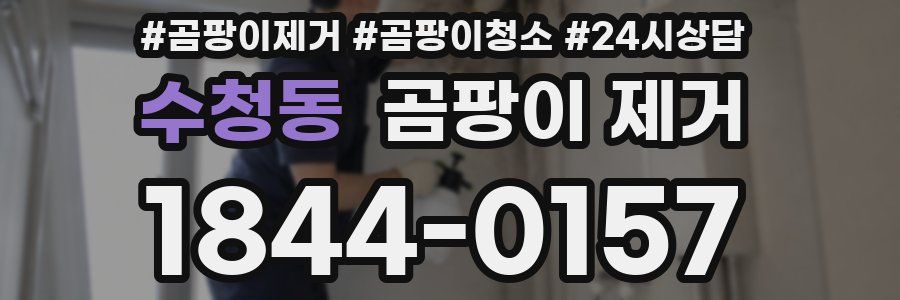 수청동 곰팡이 제거