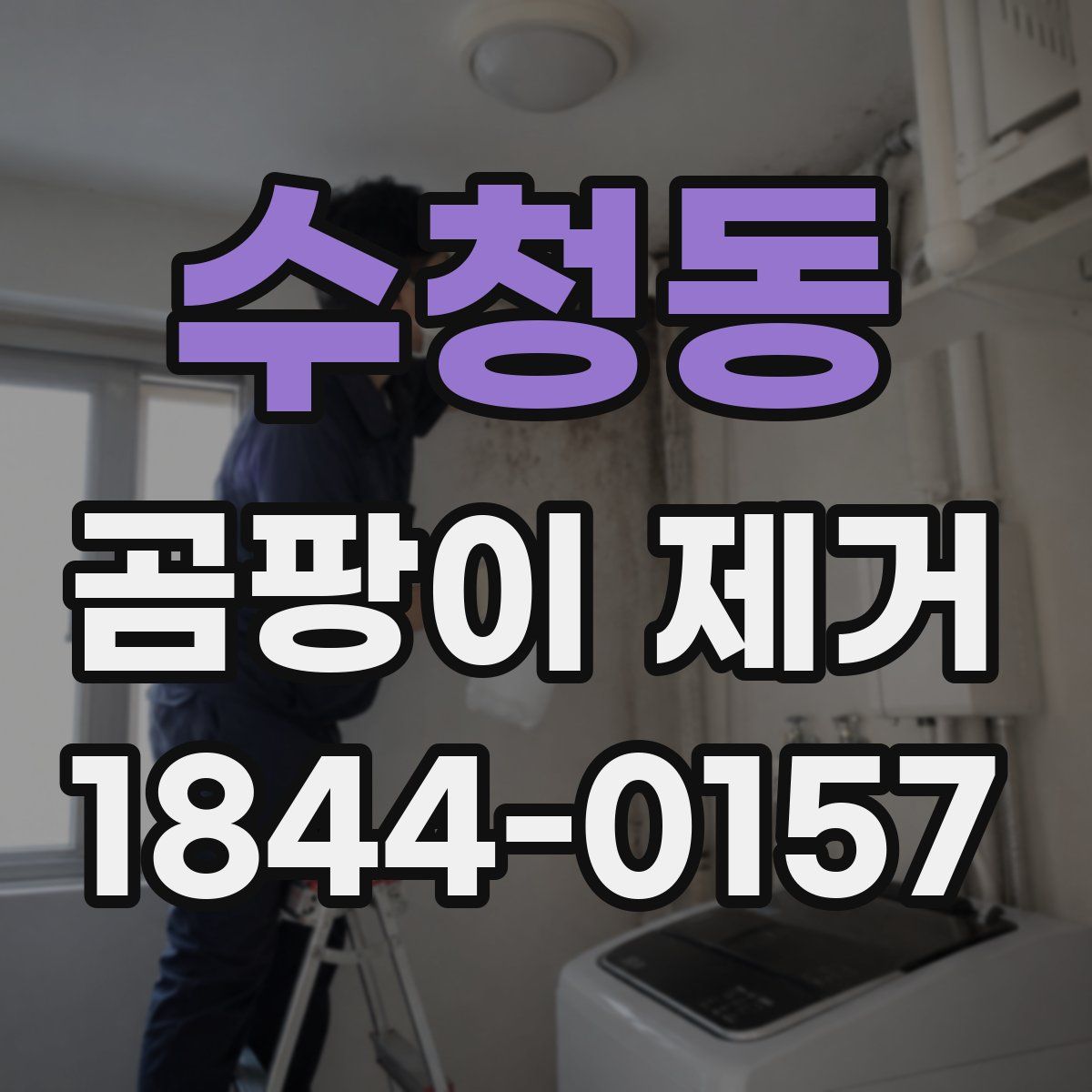 수청동 곰팡이 제거