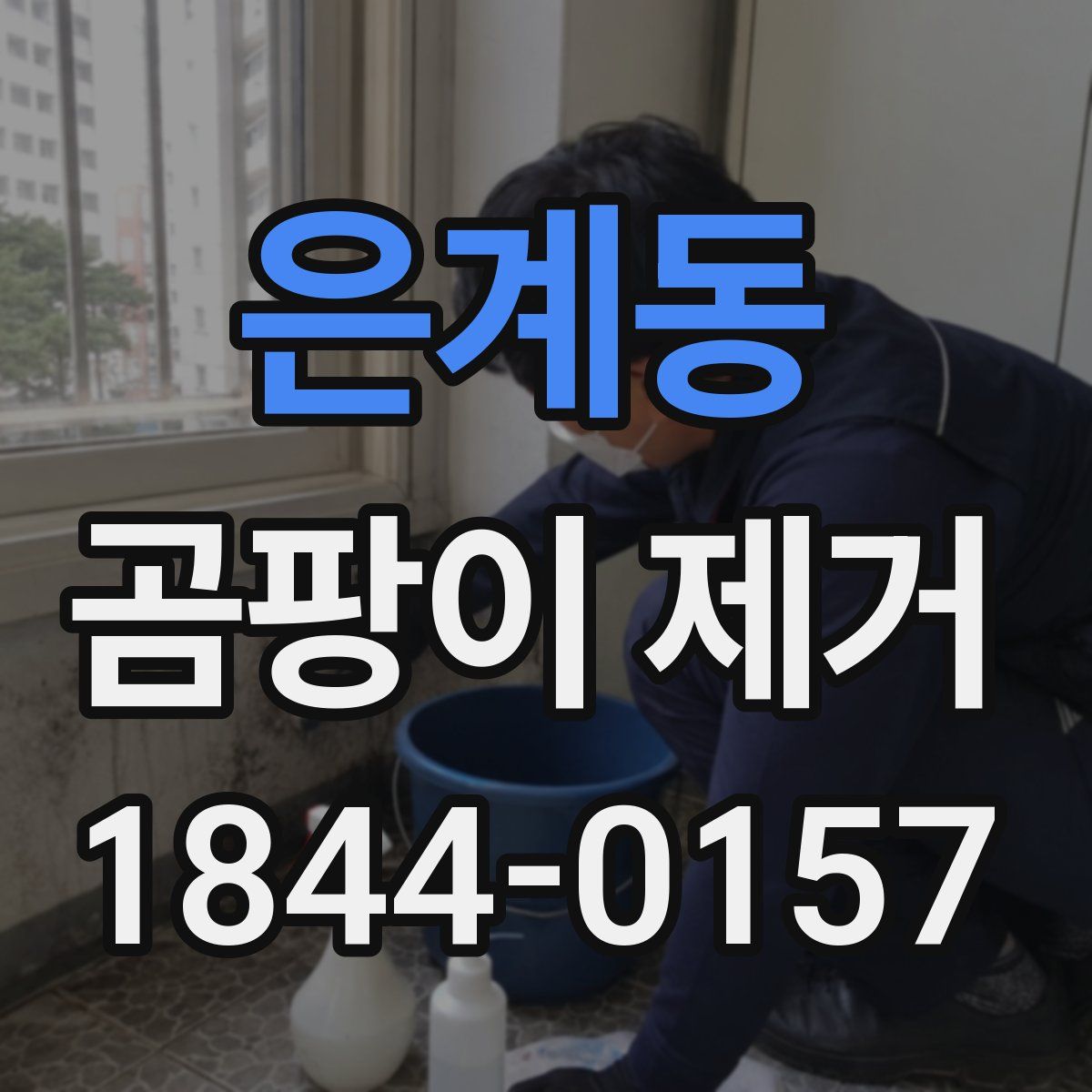 은계동 곰팡이 제거