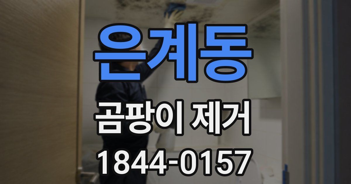 은계동 곰팡이 제거