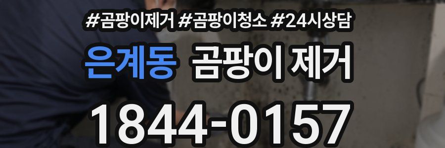 은계동 곰팡이 제거