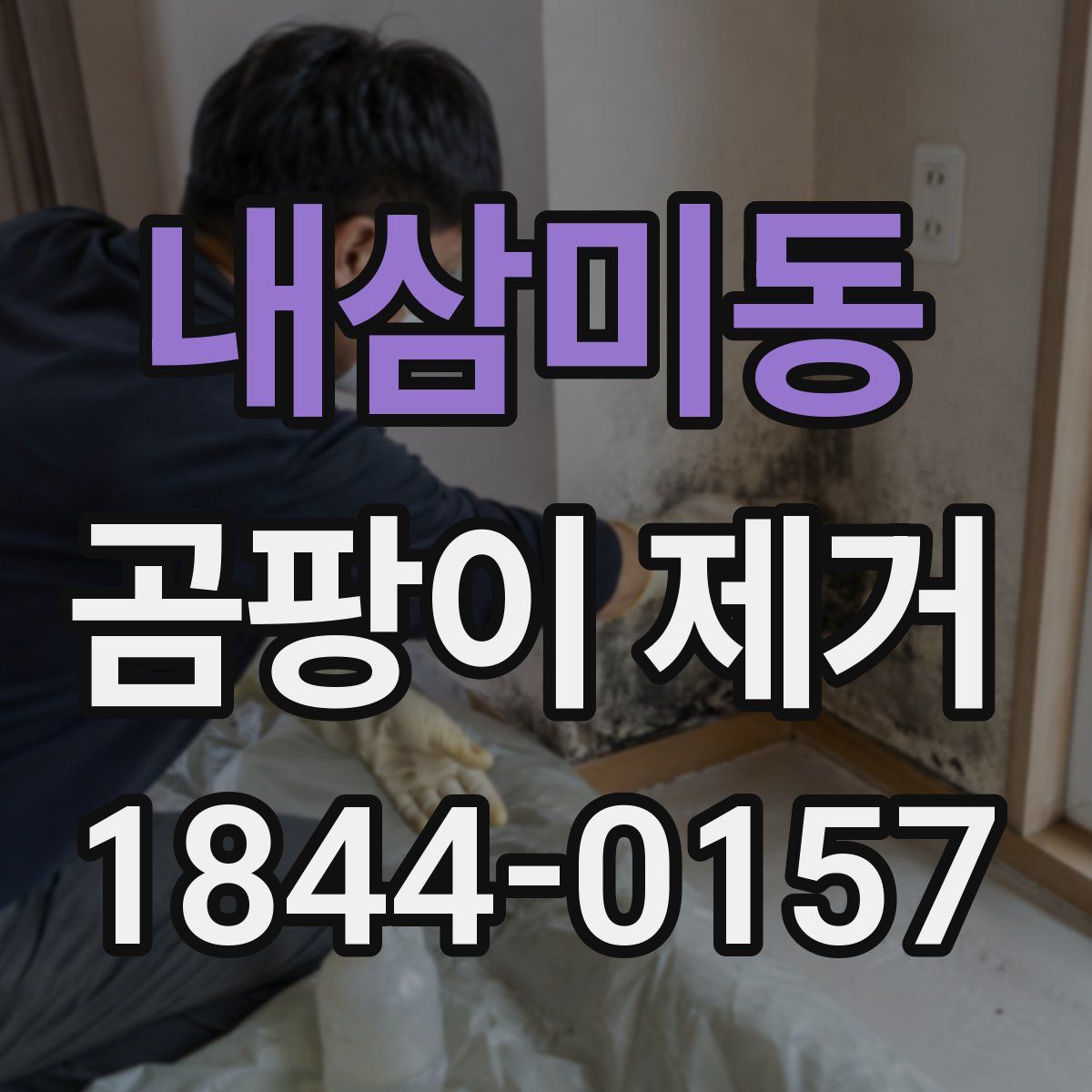 내삼미동 곰팡이 제거