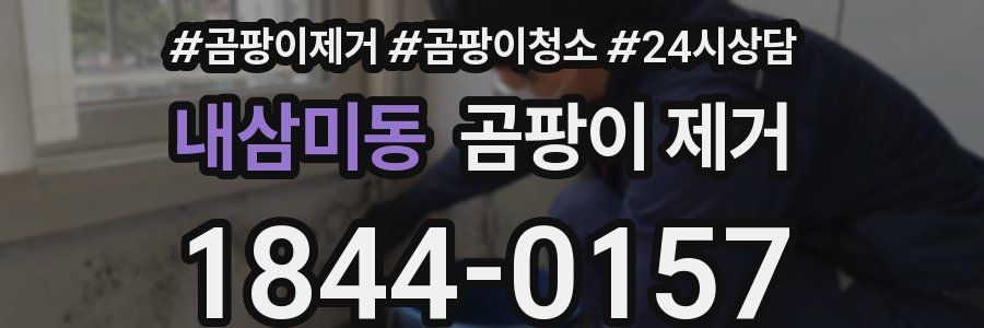 내삼미동 곰팡이 제거