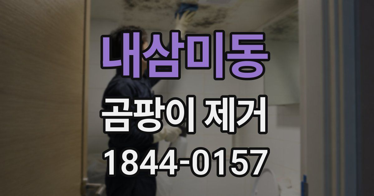 내삼미동 곰팡이 제거