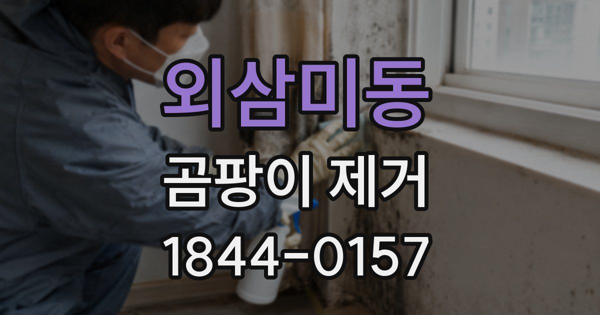 외삼미동 곰팡이 제거