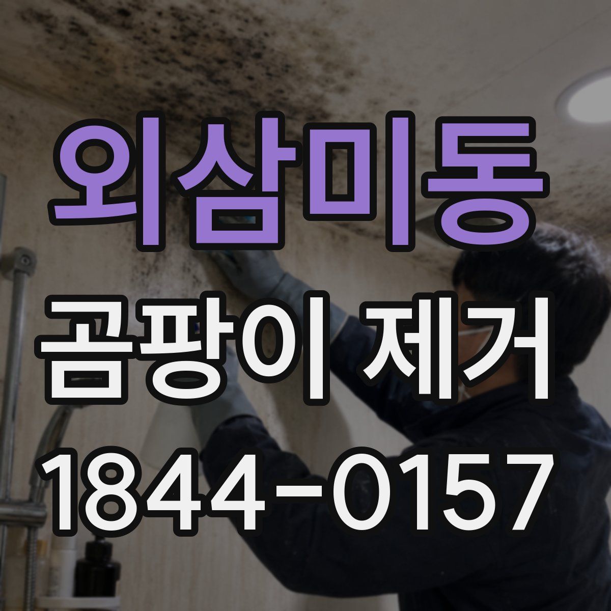 외삼미동 곰팡이 제거