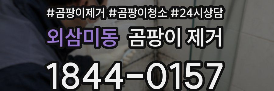 외삼미동 곰팡이 제거