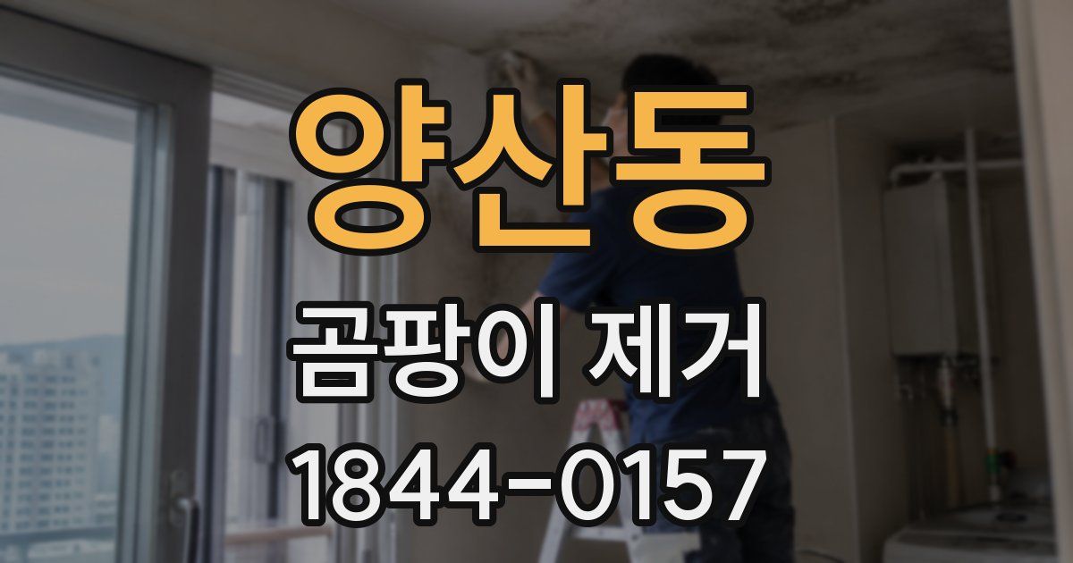 양산동 곰팡이 제거