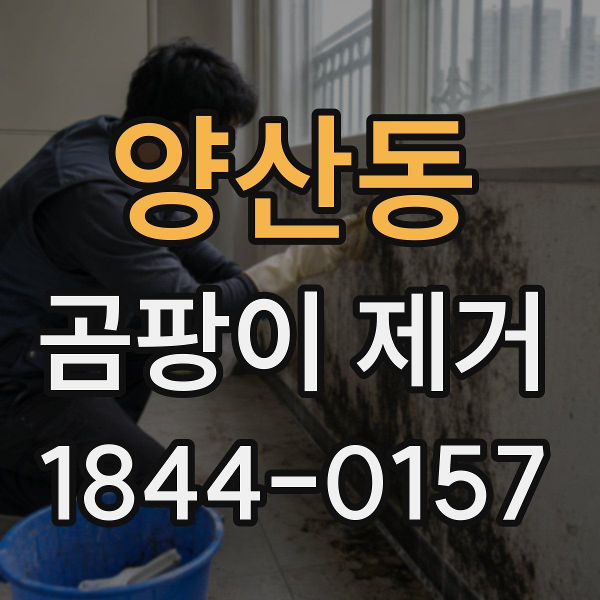 양산동 곰팡이 제거