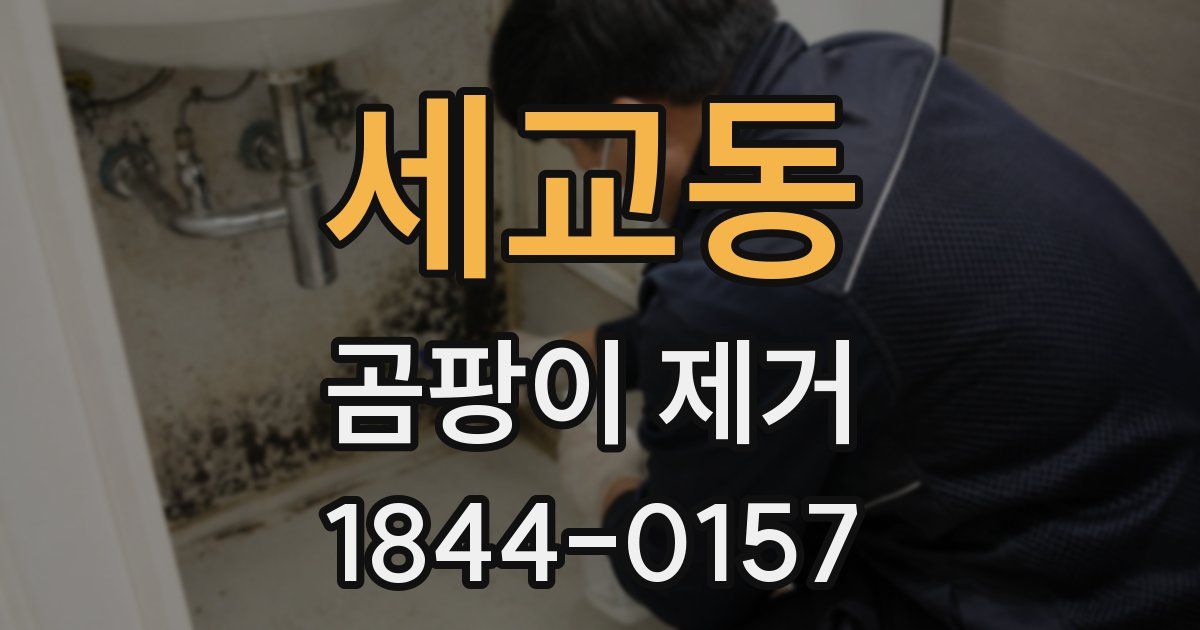 세교동 곰팡이 제거