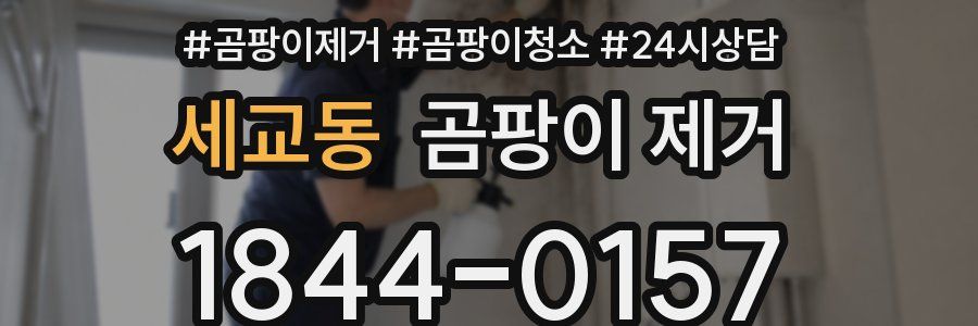 세교동 곰팡이 제거
