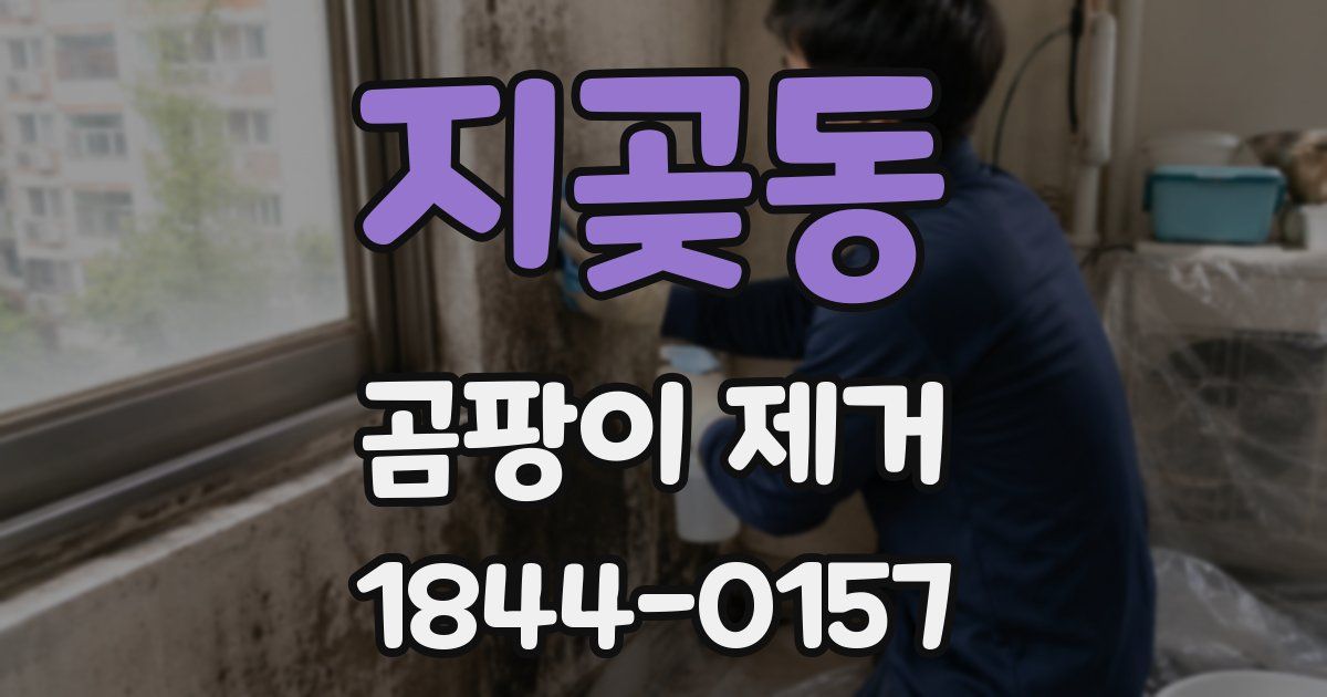 지곶동 곰팡이 제거