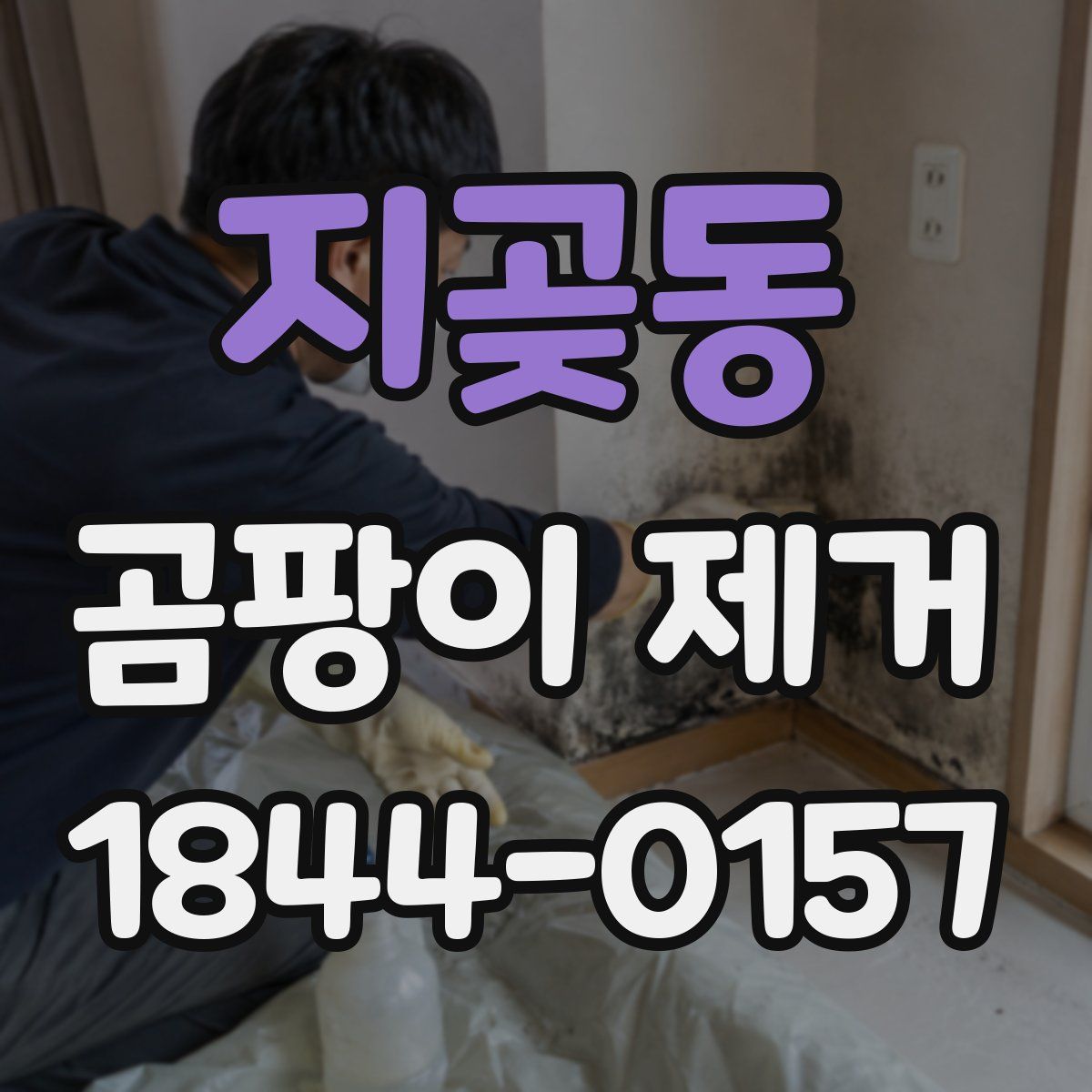지곶동 곰팡이 제거