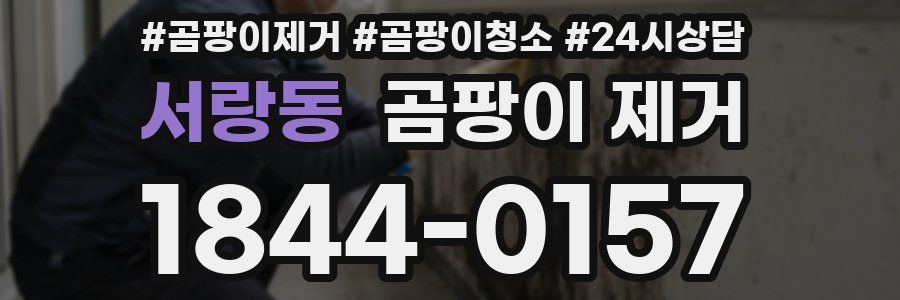 서랑동 곰팡이 제거