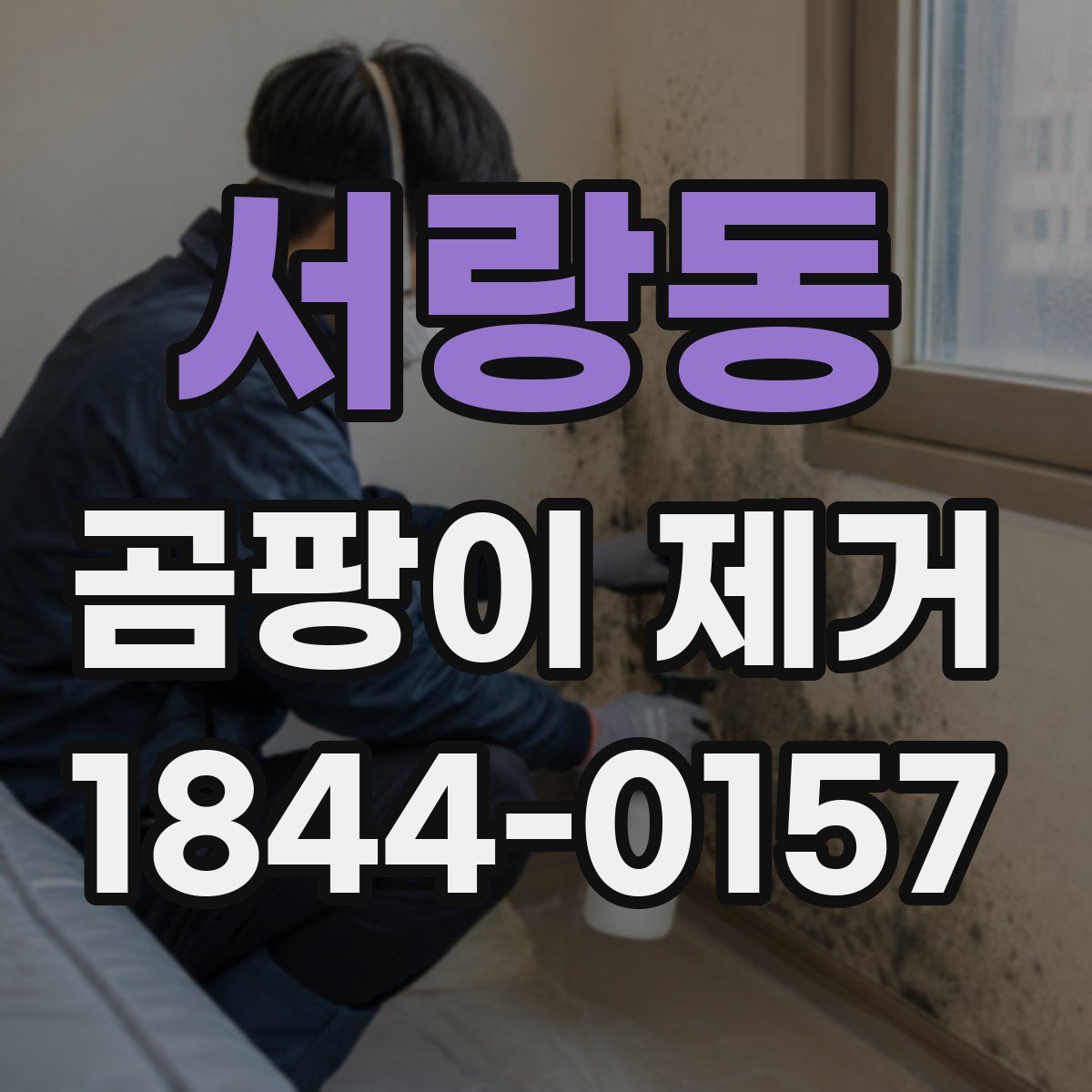 서랑동 곰팡이 제거