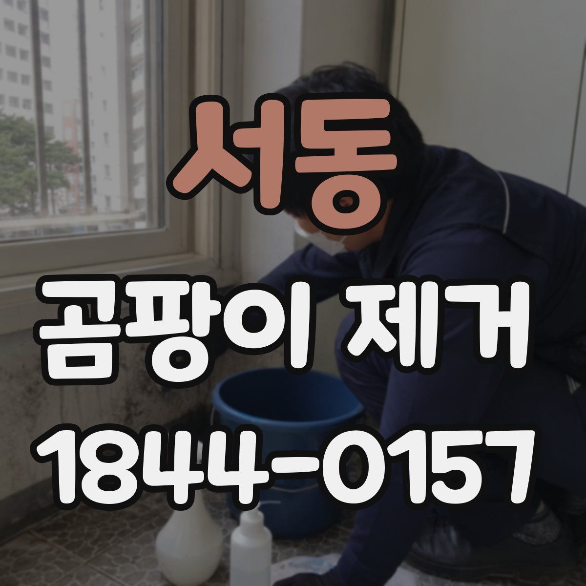 서동 곰팡이 제거