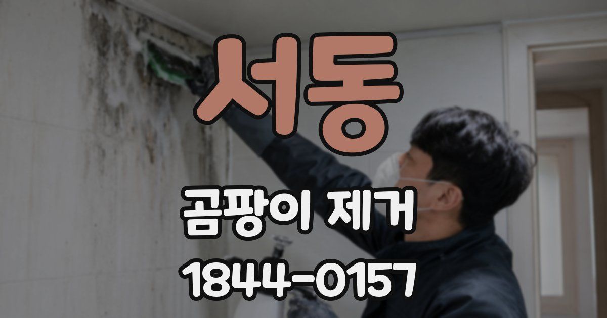 서동 곰팡이 제거