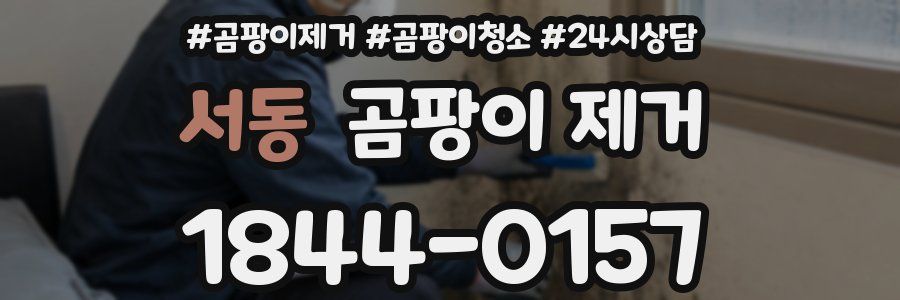 서동 곰팡이 제거