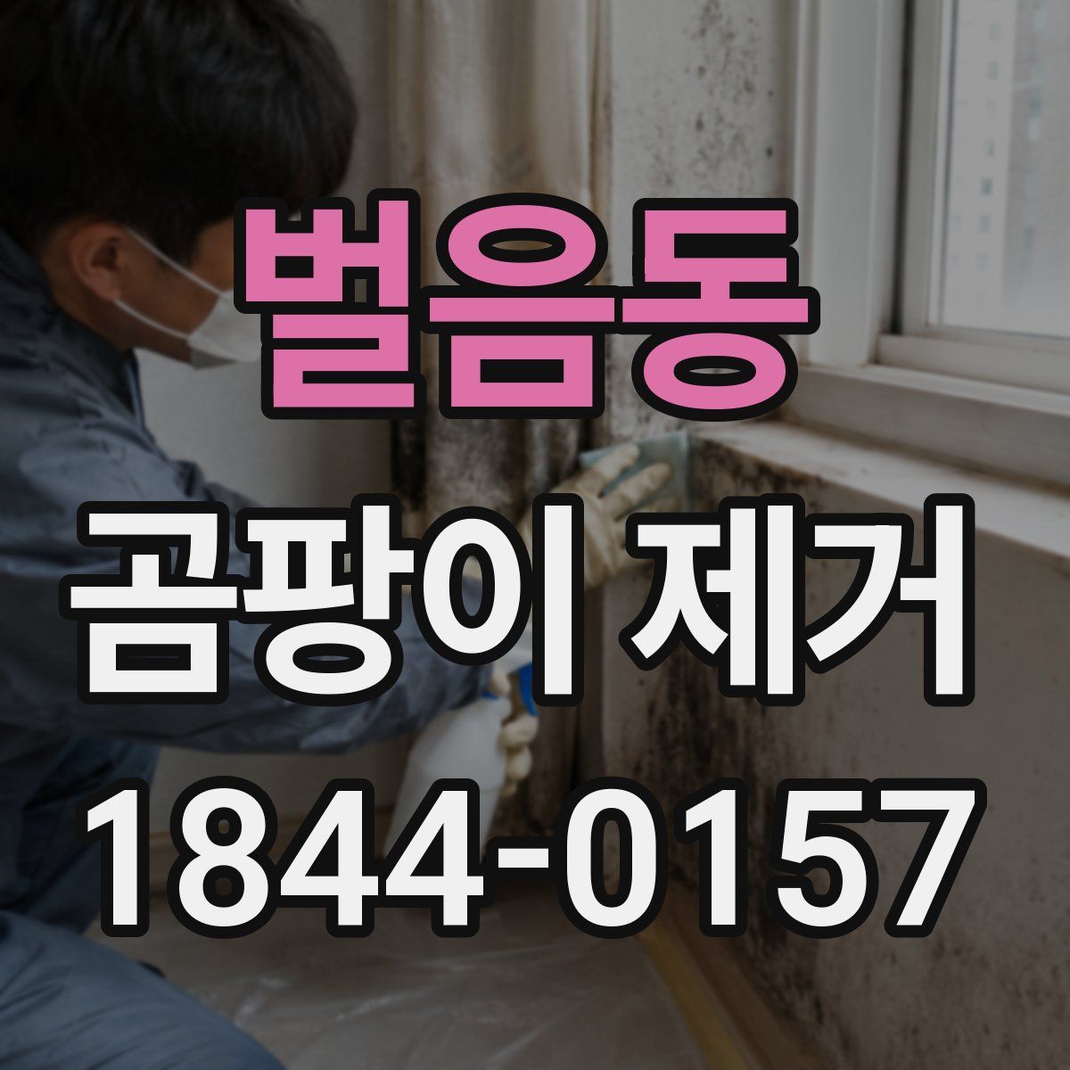 벌음동 곰팡이 제거