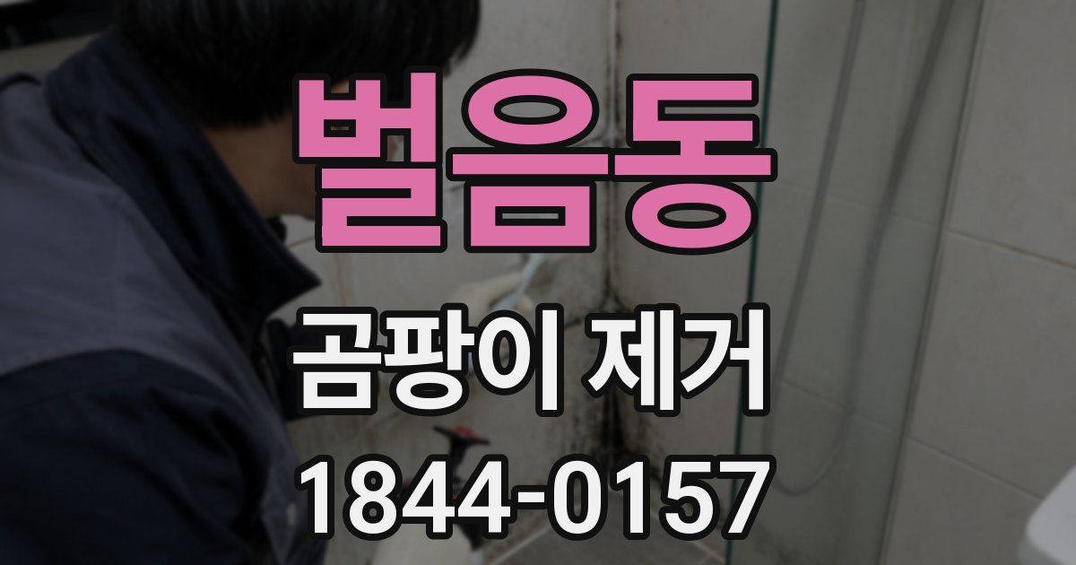 벌음동 곰팡이 제거