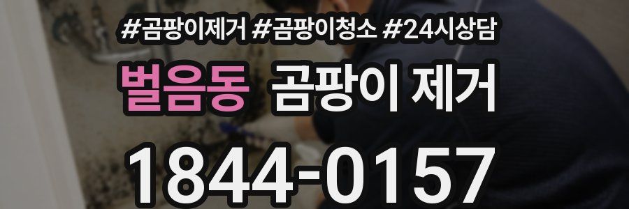 벌음동 곰팡이 제거