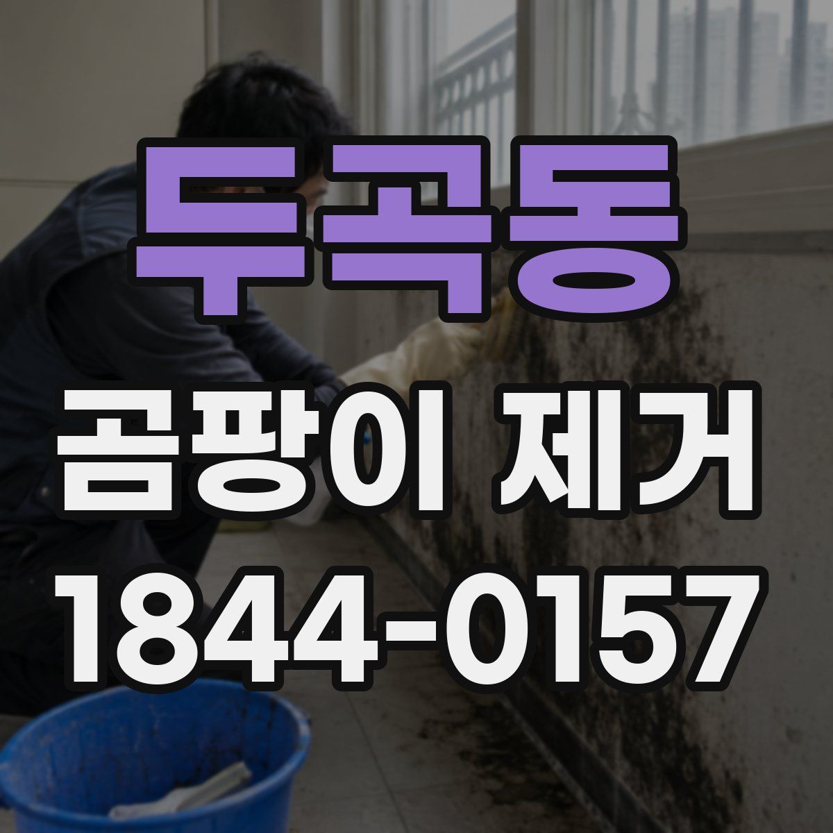 두곡동 곰팡이 제거