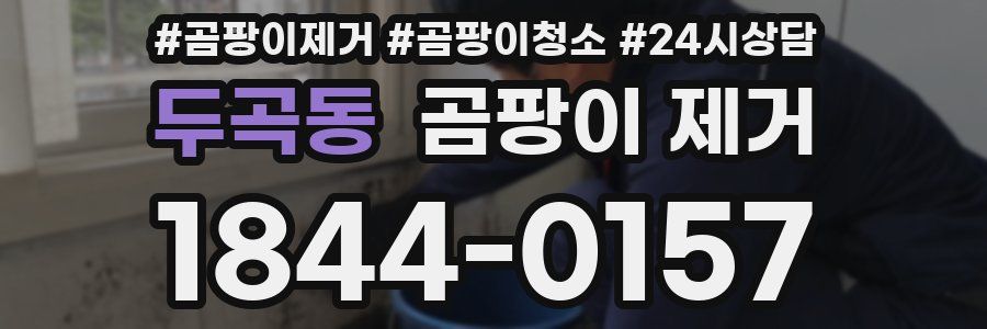 두곡동 곰팡이 제거