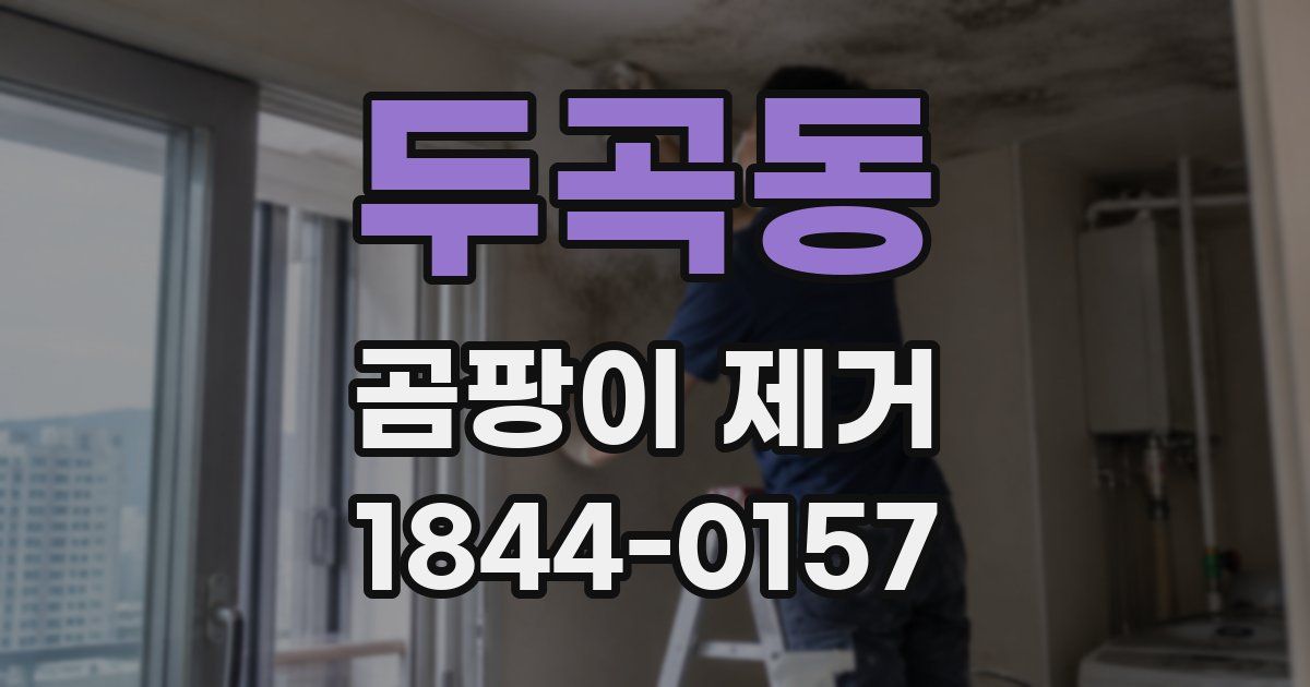두곡동 곰팡이 제거