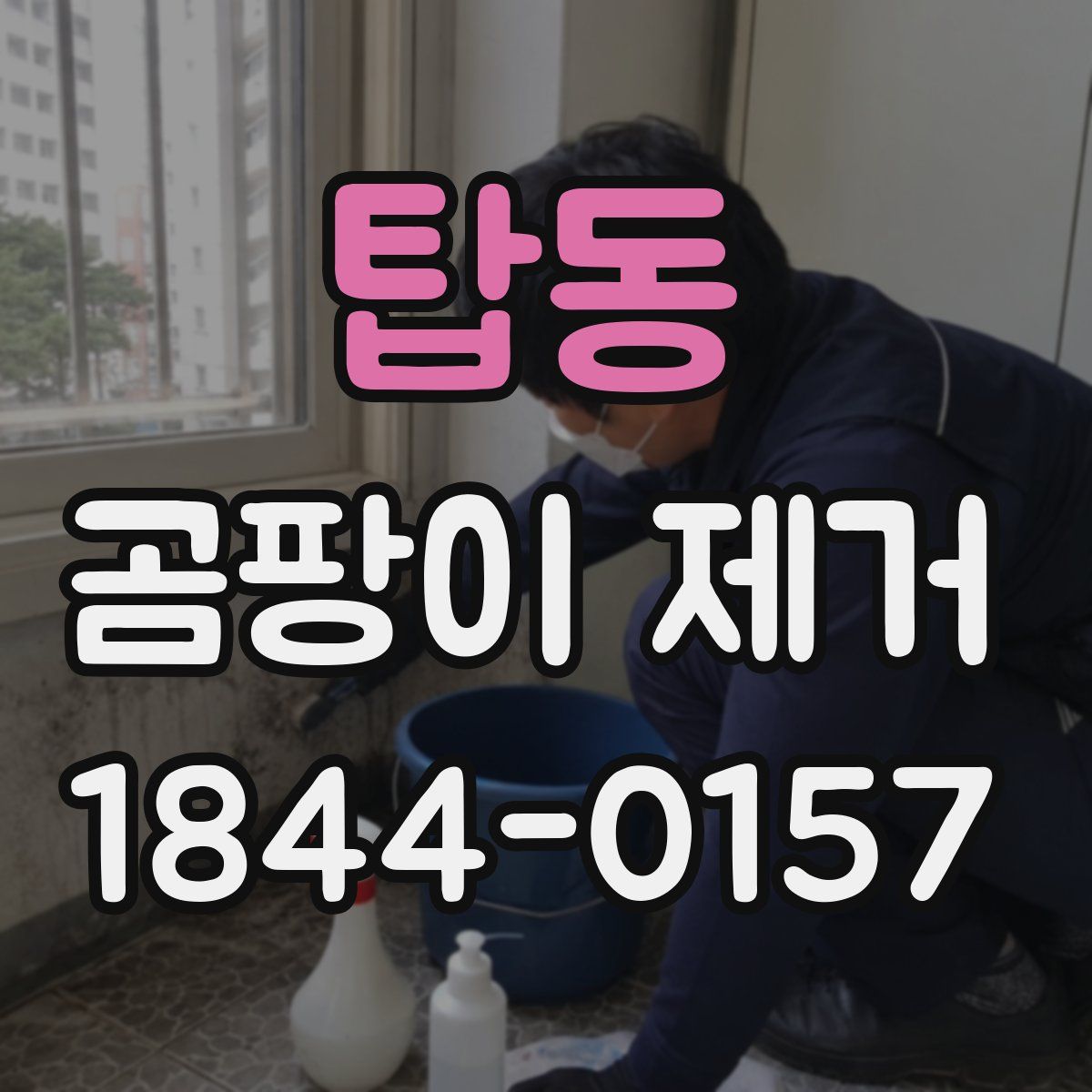 탑동 곰팡이 제거