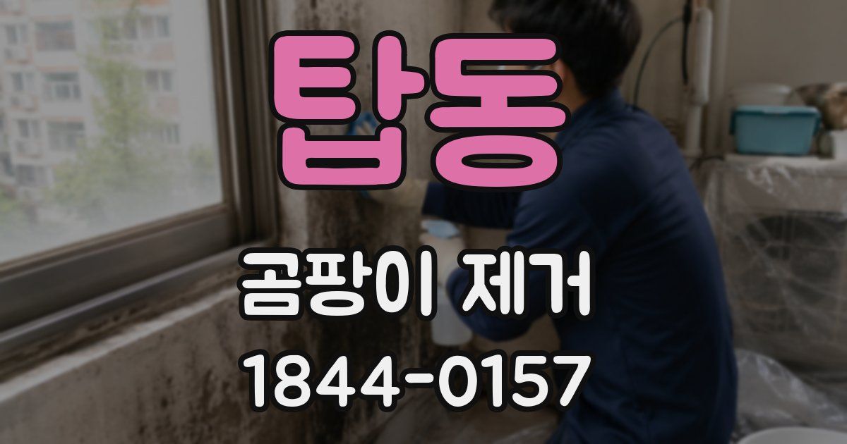 탑동 곰팡이 제거