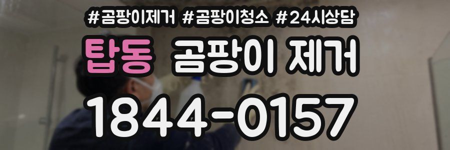 탑동 곰팡이 제거