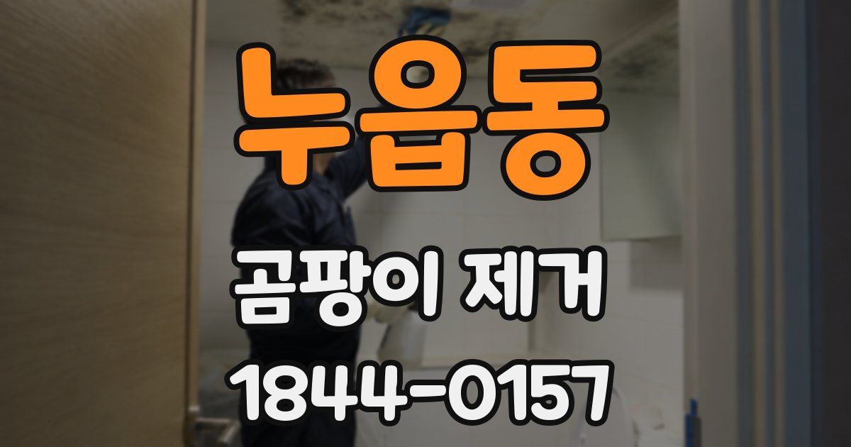 누읍동 곰팡이 제거