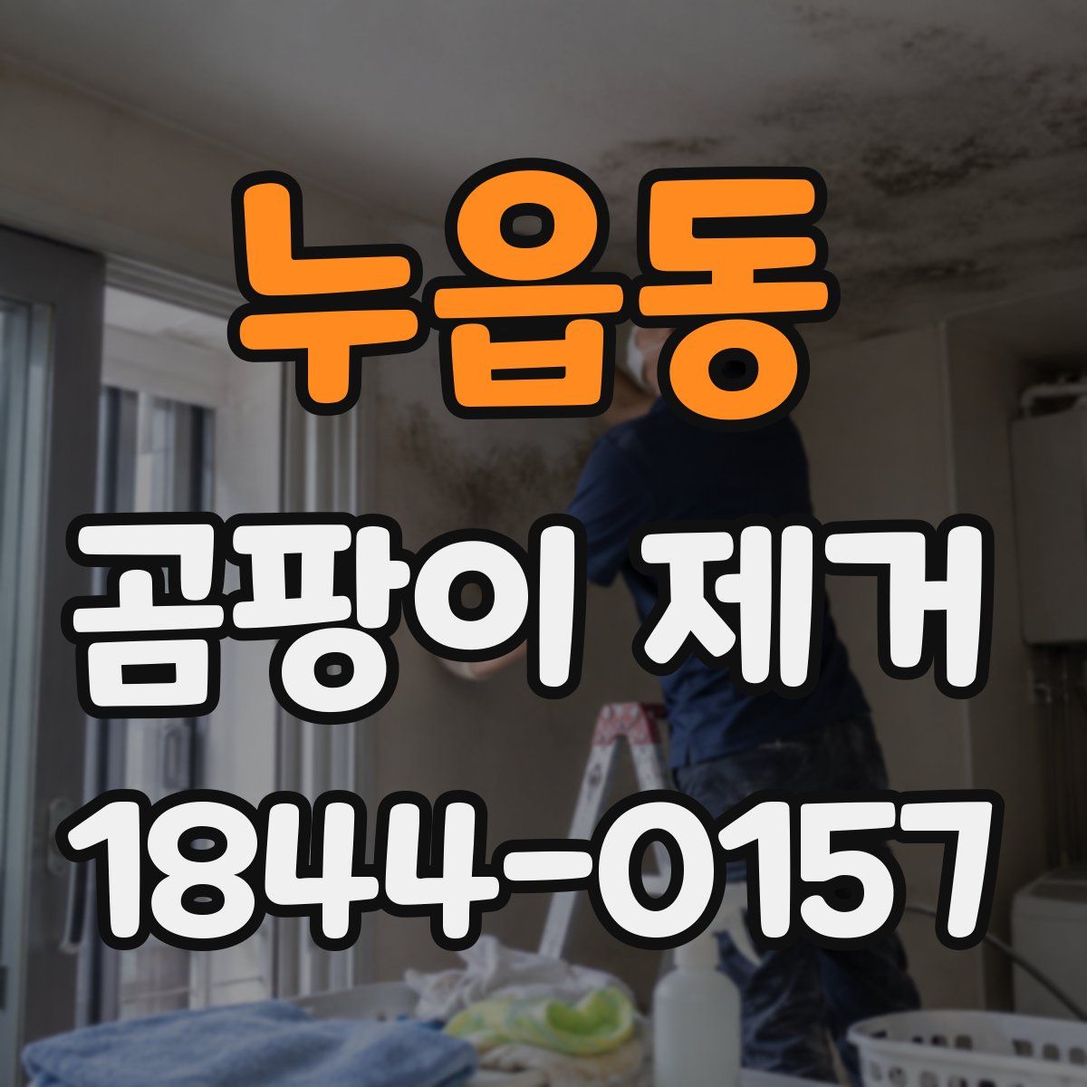 누읍동 곰팡이 제거