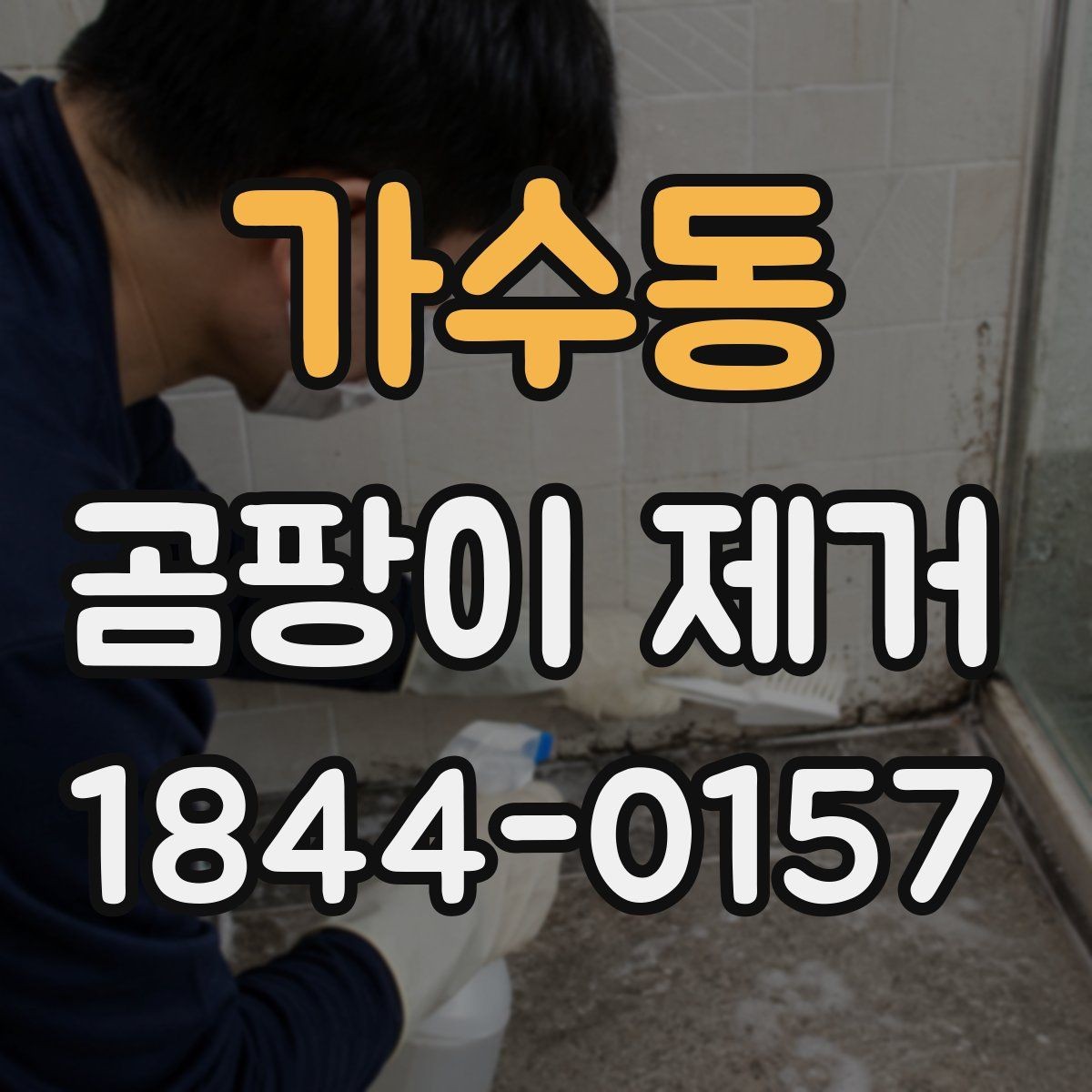 가수동 곰팡이 제거 장비가 필요한 상황은 따로 있다