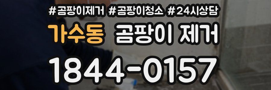 가수동 곰팡이 제거
