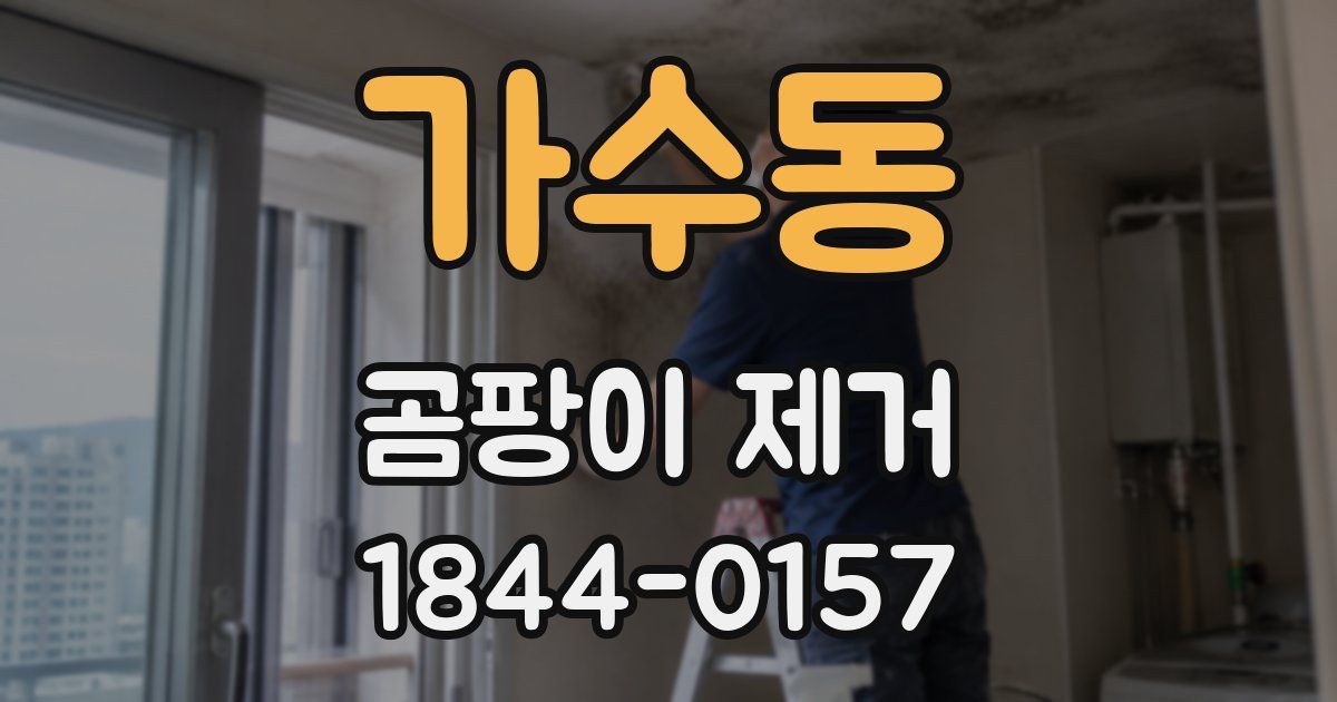 가수동 곰팡이 제거