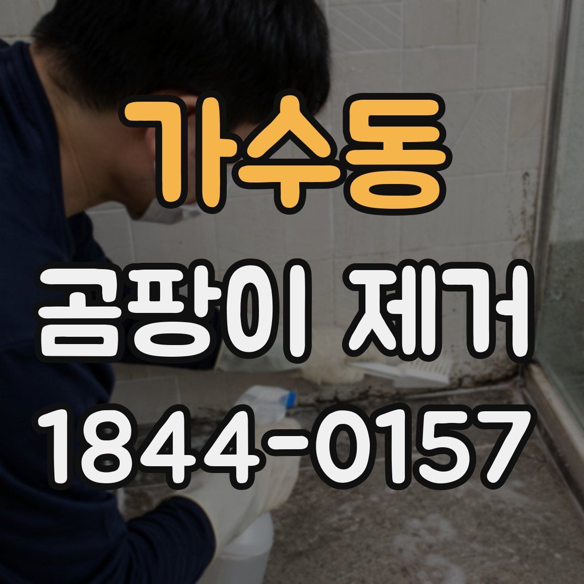 가수동 곰팡이 제거