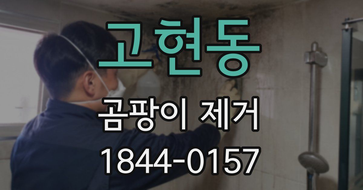 고현동 곰팡이 제거