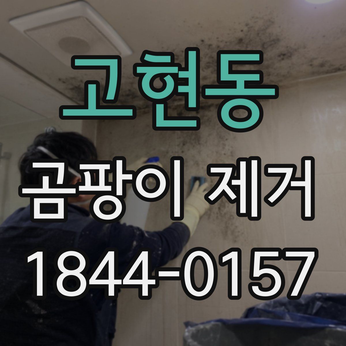 고현동 곰팡이 제거